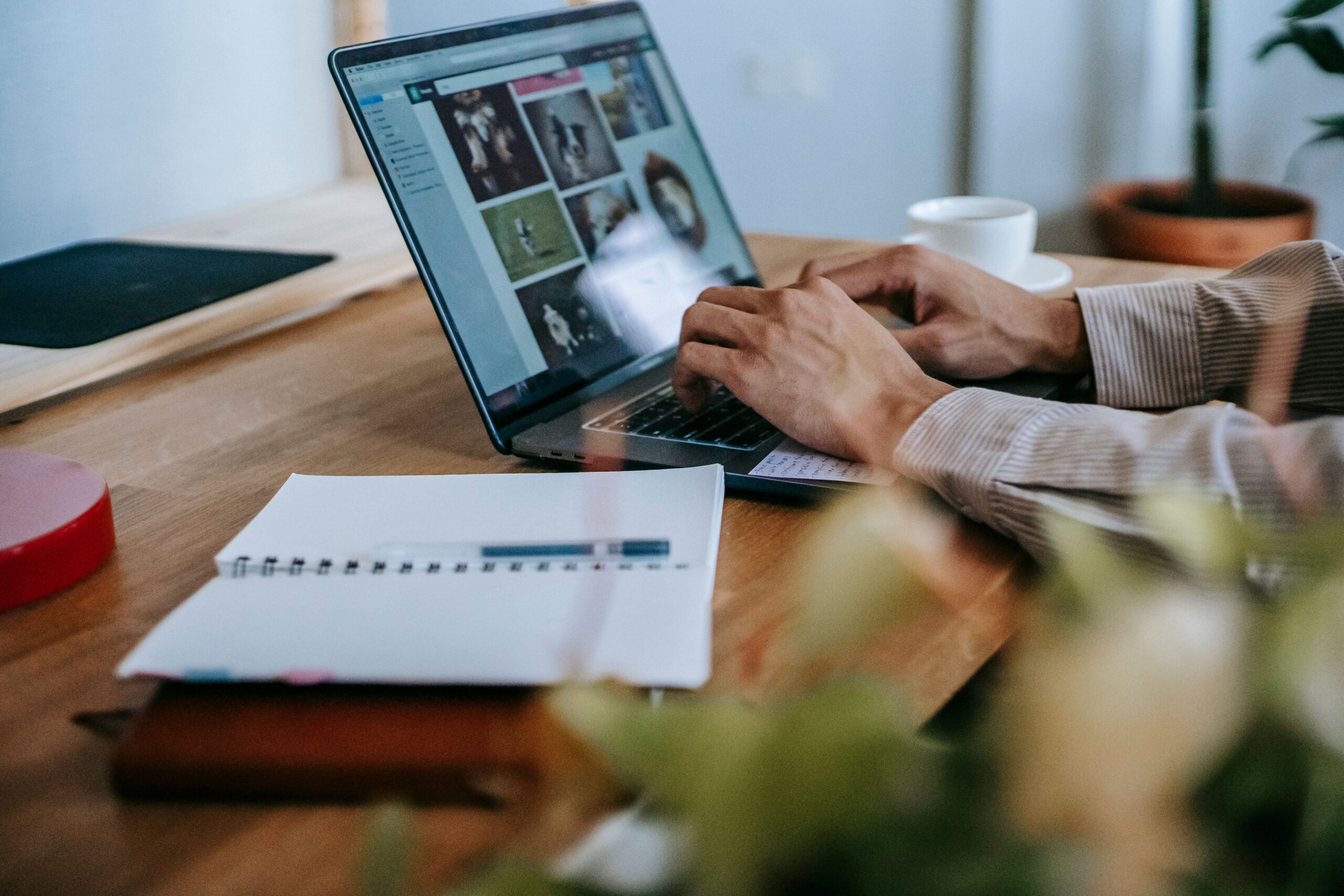 Las mejores herramientas gratuitas para trabajar online desde España
